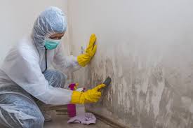 Trusted Wetumpka, AL Mold Prevention & Removal  Experts